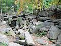 NJ_NY 206